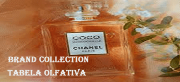 BRAND COLLECTION TABELA